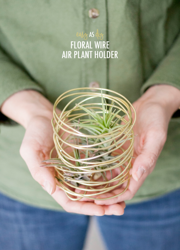 diy air plant holder easy as d i y floral wire air plant holder 187 green diy diy air plant holder easy as d i y floral wire air plant holder 187 green diy