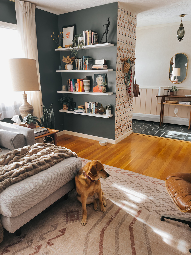 How To Have An Aesthetic Home With Pets