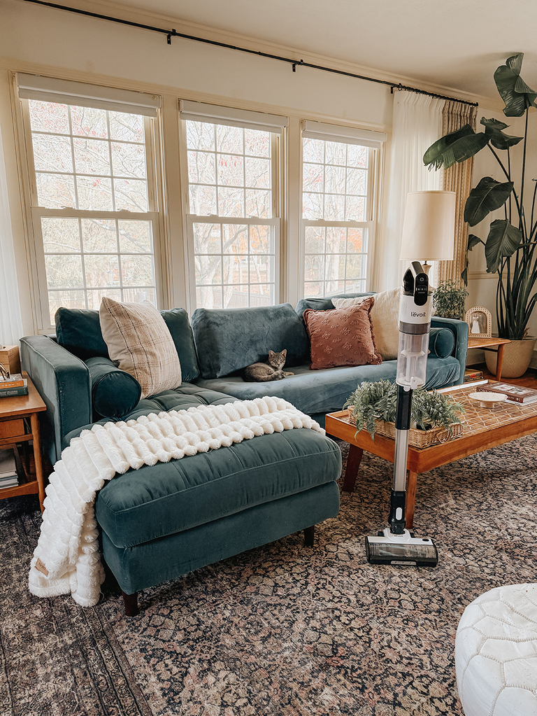 A Cordless Vacuum Perfect For Pet Parents