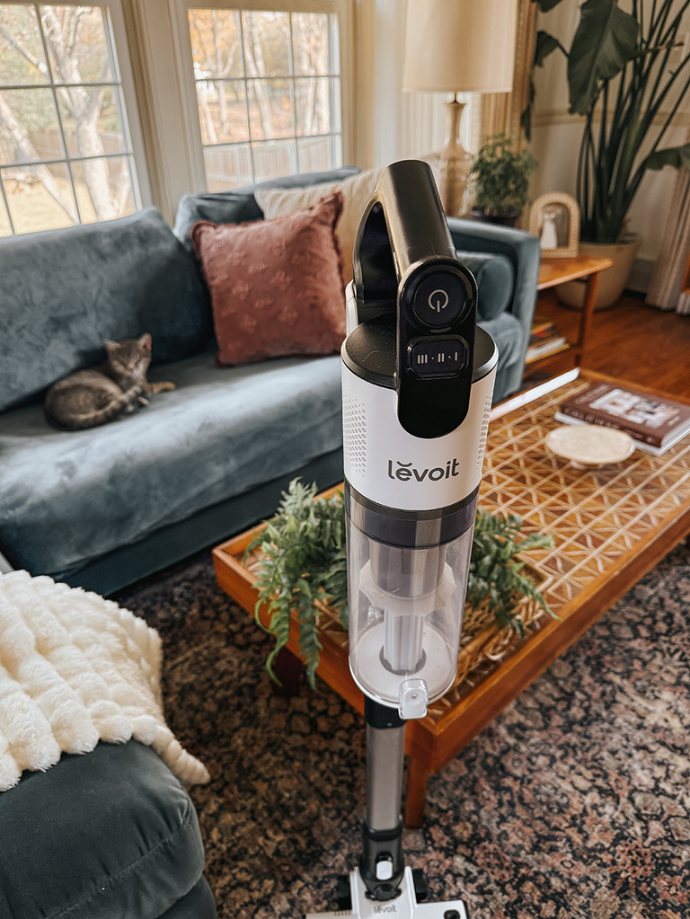 A Cordless Vacuum Perfect For Pet Parents