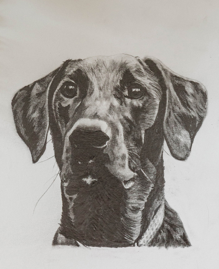 Custom Hand-Drawn Miniature Pet Portraits