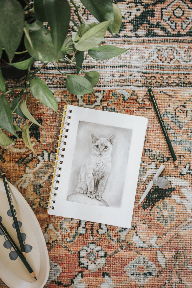 Custom Hand-Drawn Miniature Pet Portraits