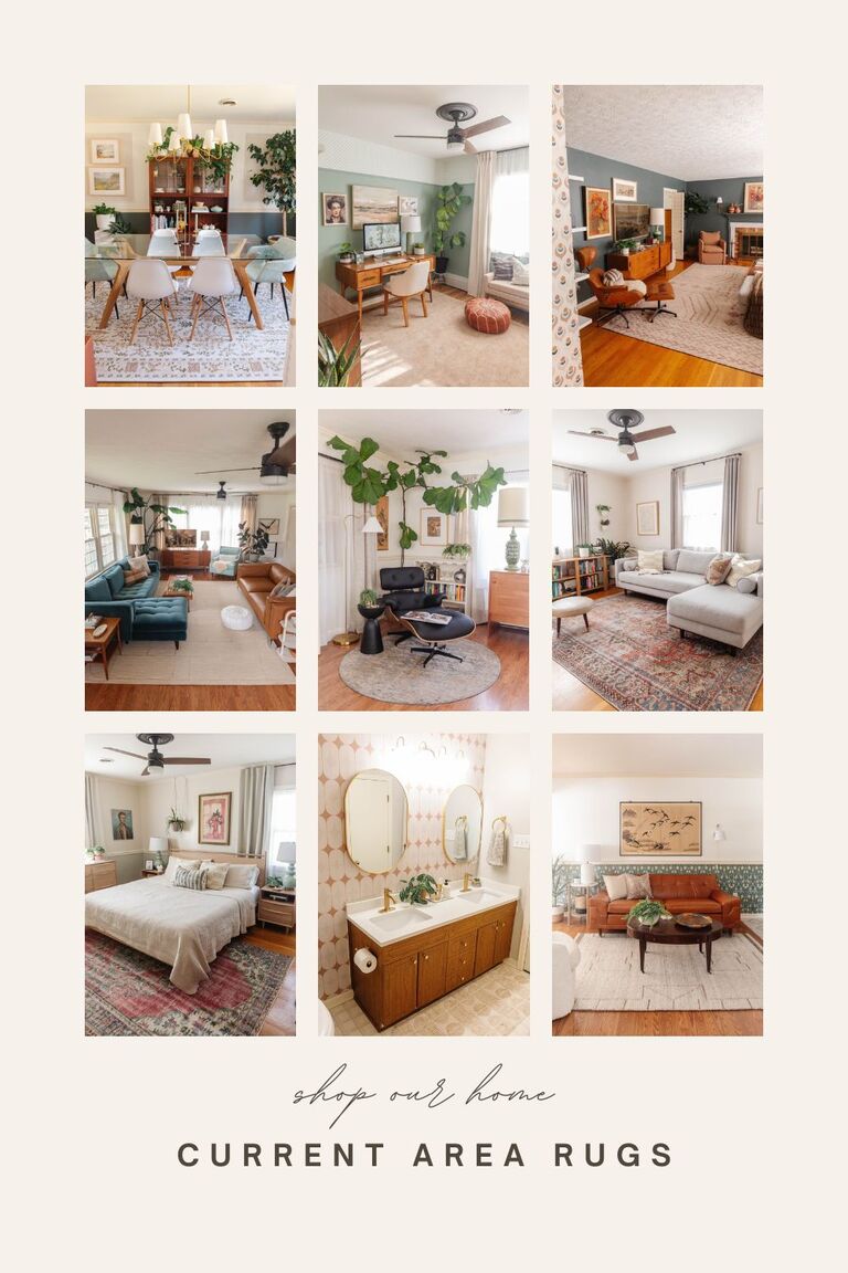 Area Rug Shopping Inspiration