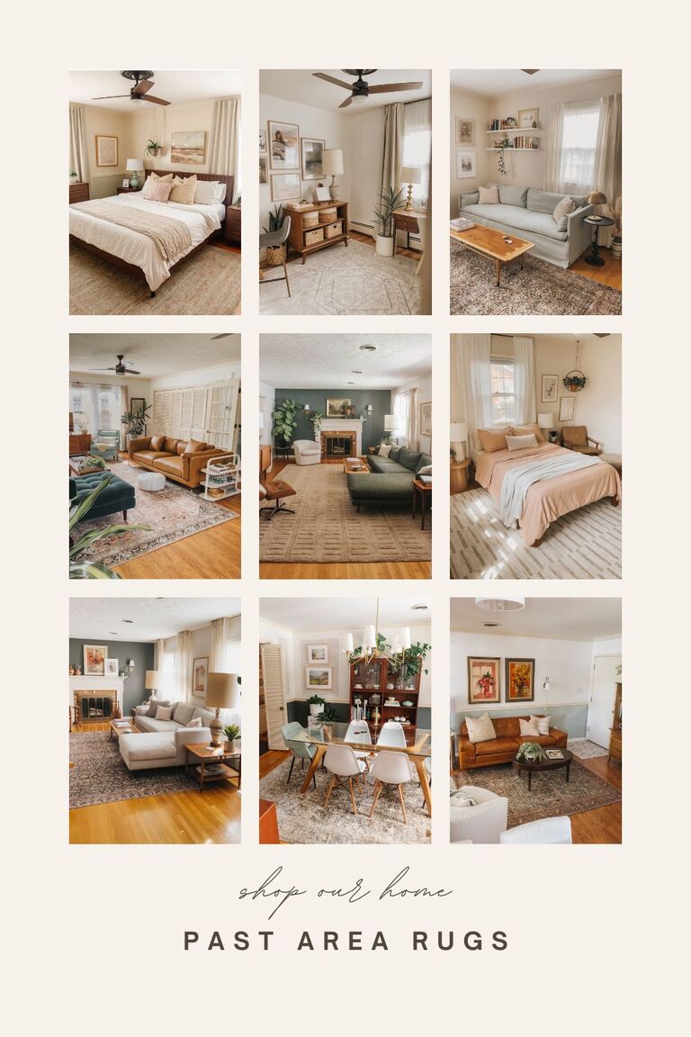 Area Rug Shopping Inspiration