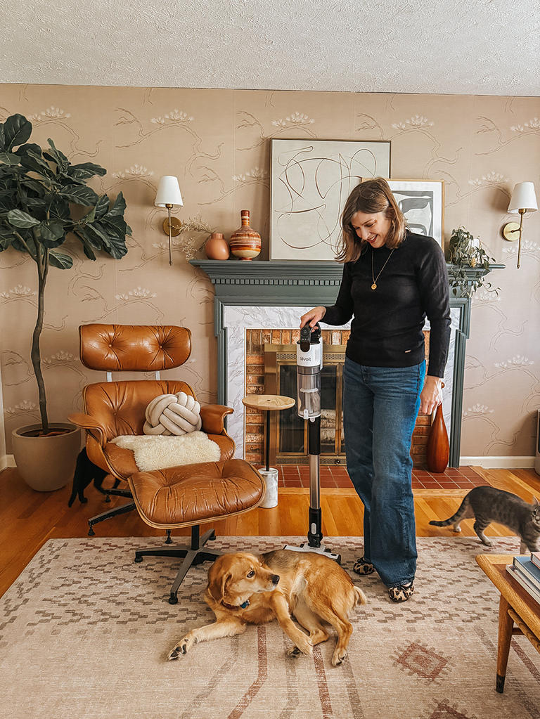 A Cordless Vacuum Perfect For Pet Parents