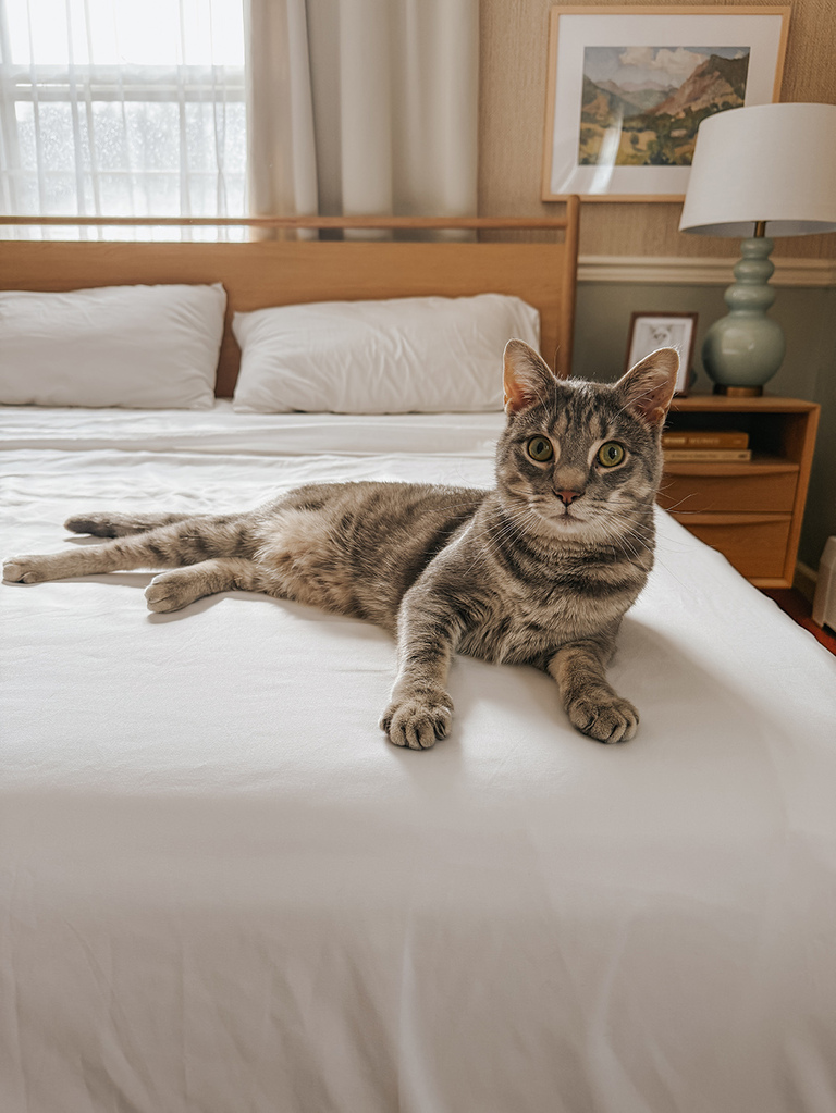 Upgrading Our Bed With Hotel-Inspired Sheets
