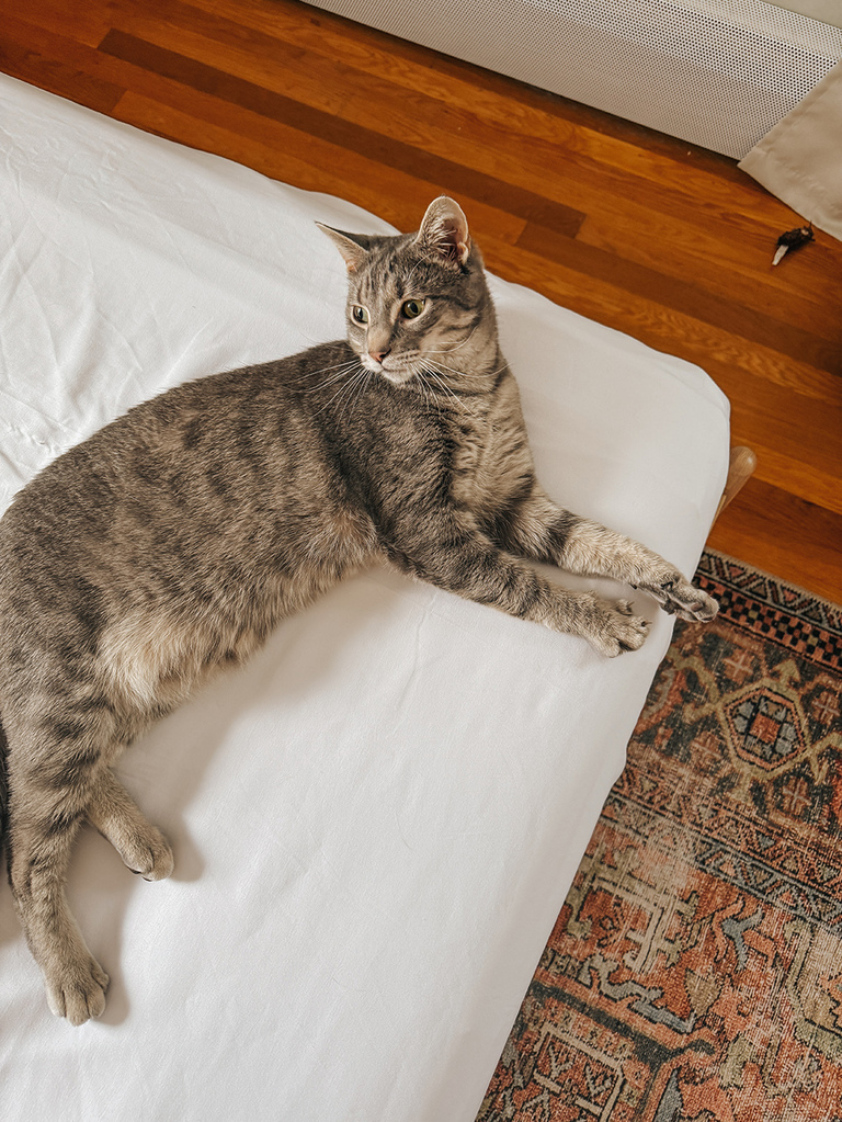 Upgrading Our Bed With Hotel-Inspired Sheets