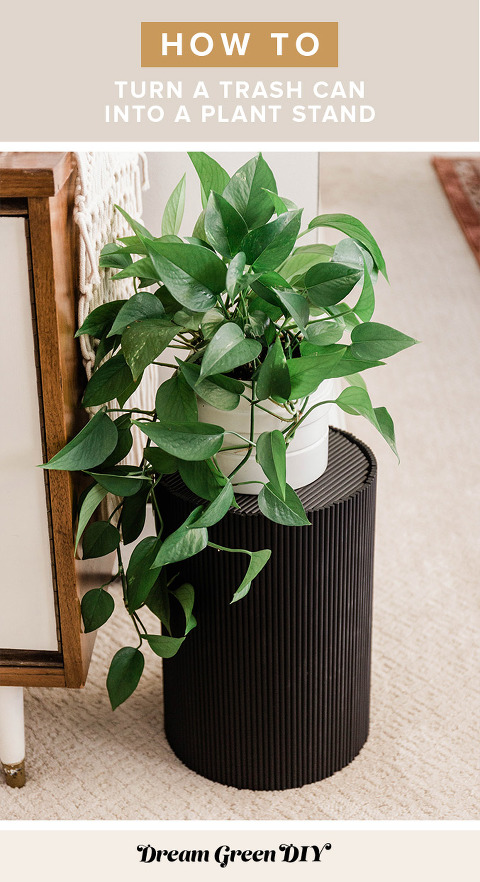 https://www.dreamgreendiy.com/?pp_route=%2Fimage-resize&path=nBnaukTMwITL0J3boNVLvRVL39GStQ3clJXZ05WaQ9Cdz9GctkDO3UTNtEjMvgDMvAjMwIjf&width=480