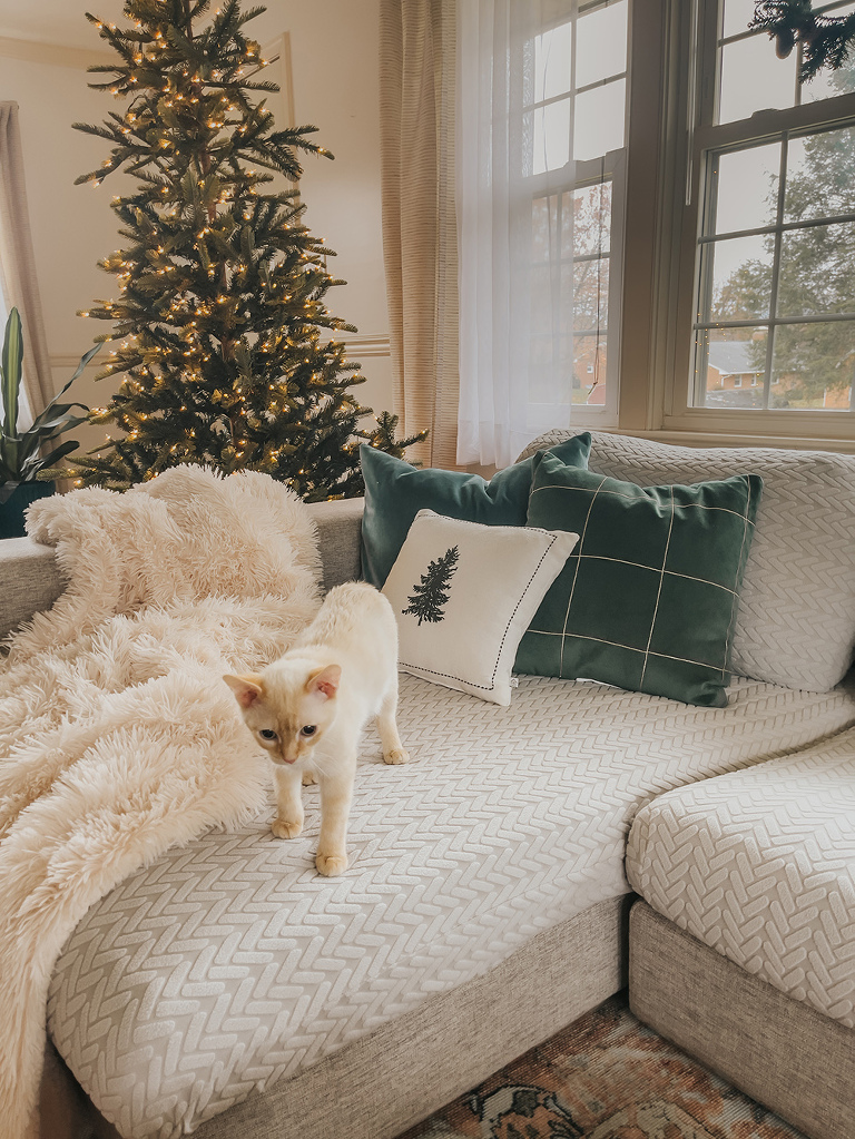 My tips for pet-friendly Christmas decor