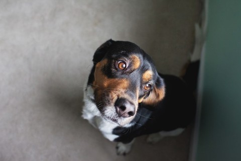 041914_CarrieWaller_HomeTour_040