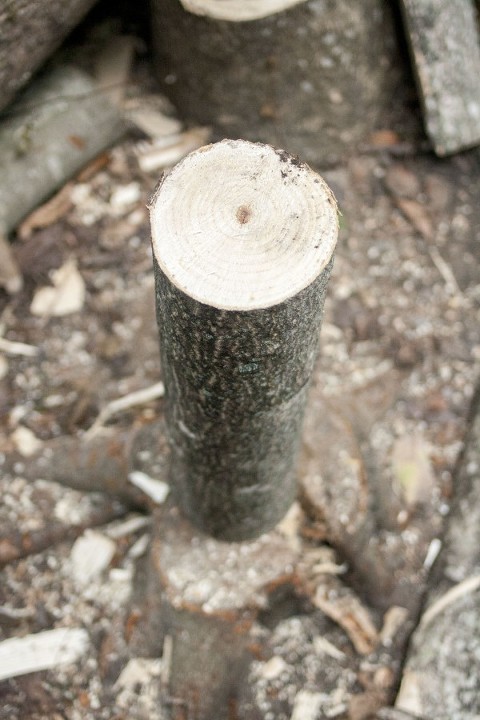 eHow-DIY-Log-Bookends-03