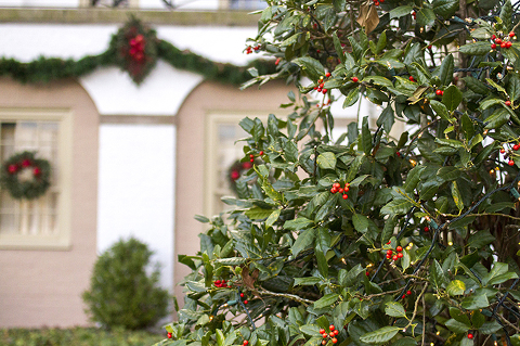 Williamsburg-Christmas-2014-05