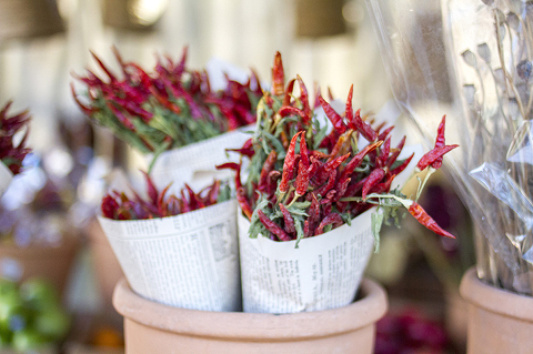 Williamsburg-Christmas-2014-42