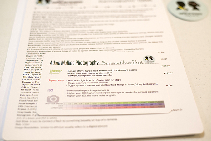 Adam Mullins Photography Workshop Recap &amp Interview | Dream Green DIY