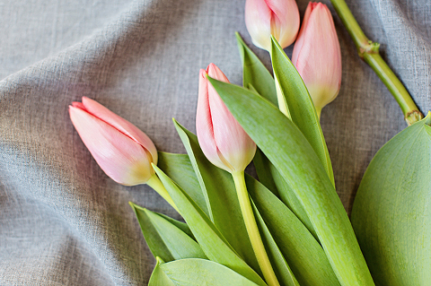 View More: http://megan-vaughan.pass.us/valentines-day-glitter-guide