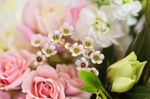 View More: http://megan-vaughan.pass.us/valentines-day-glitter-guide