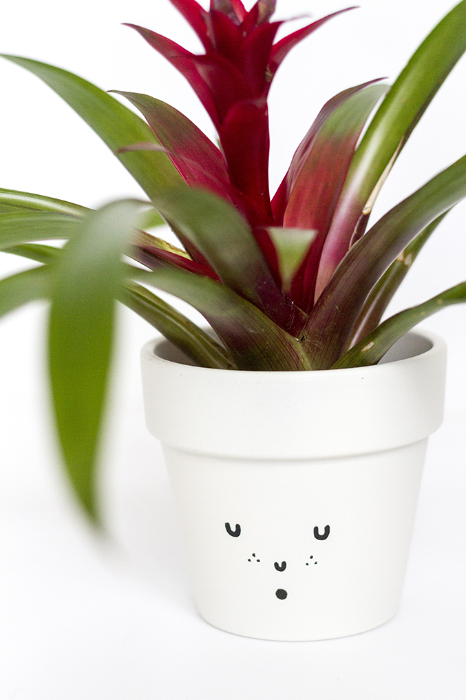3 Ways To Decorate Spring Flower Pots | Dream Green DIY
