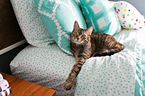 Whim Collection Makeover For Glitter Guide | Dream Green DIY (Photos: Megan Vaughan)