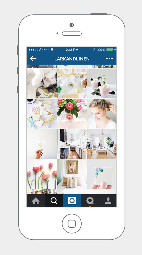 How To Optimize Instagram From Your Brand | Dream Green DIY