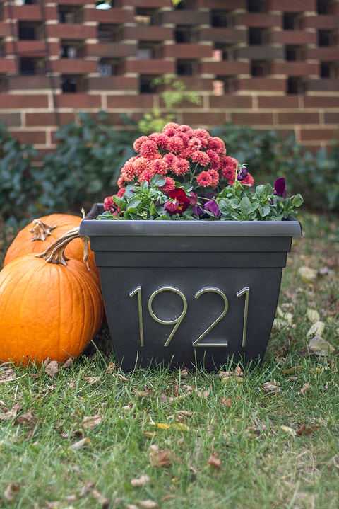 DIY House Numbers Planter | Dream Green DIY