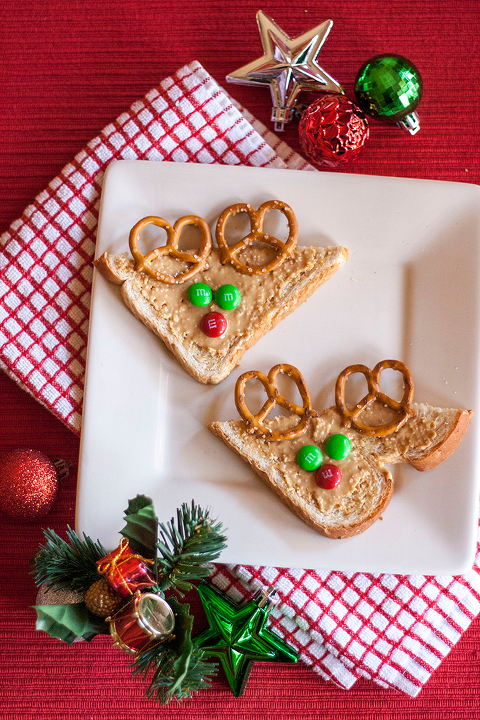 Top 10 DIY Christmas Crafts | Dream Green DIY