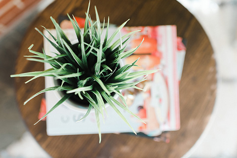 A Mid-Century Sunroom Makeover: Inspiration | Dream Green DIY (Photo: Andrea Pesce)