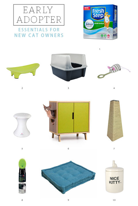 Essentials for New Cat Owners | dreamgreendiy.com + @ehow