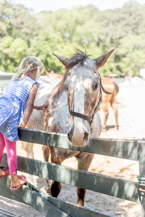 5 Family-Friendly Things To Do In Hilton Head | dreamgreendiy.com