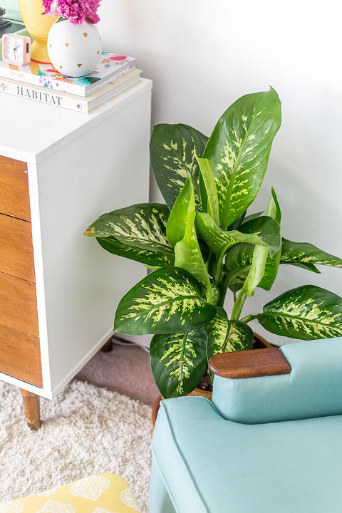 Reupholstered Mid-Century Lounge Chair Makeover | dreamgreendiy.com + @buyfabrics