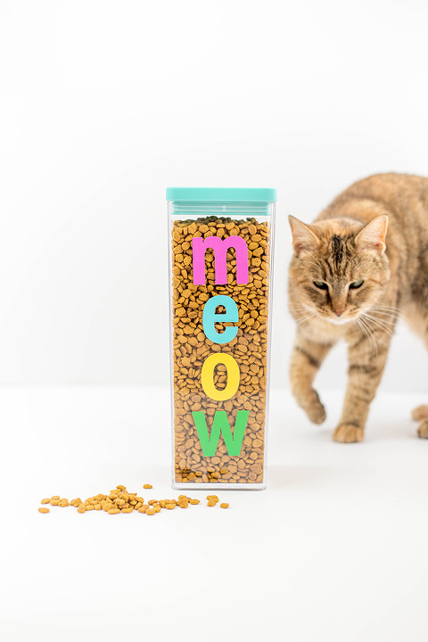DIY Colorful Meow Cat Food Container | dreamgreendiy.com + @purina