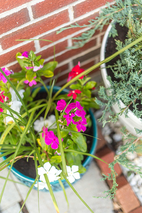 How To Update A Storm Door With Teal Window Film | dreamgreendiy.com + @designyourwall