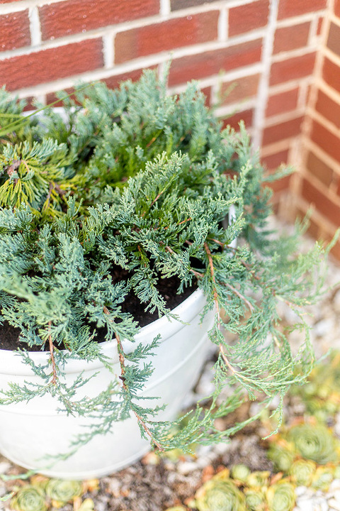 How To Update A Storm Door With Teal Window Film | dreamgreendiy.com + @designyourwall