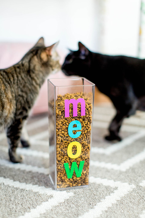 Cat Hack Project 2 How To Keep The Dog Out Of The Cat Food Dream Green DIY