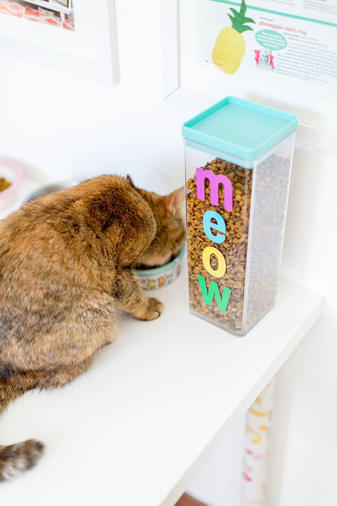 How To Keep The Dog Out Of The Cat Food | dreamgreendiy.com @petfinder #MetOnPetfinder