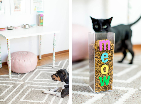 19 Brilliant DIY Projects For Pet Food Stations