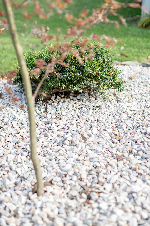 How To Create A DIY Zen-Inspired Rock Garden | dreamgreendiy.com