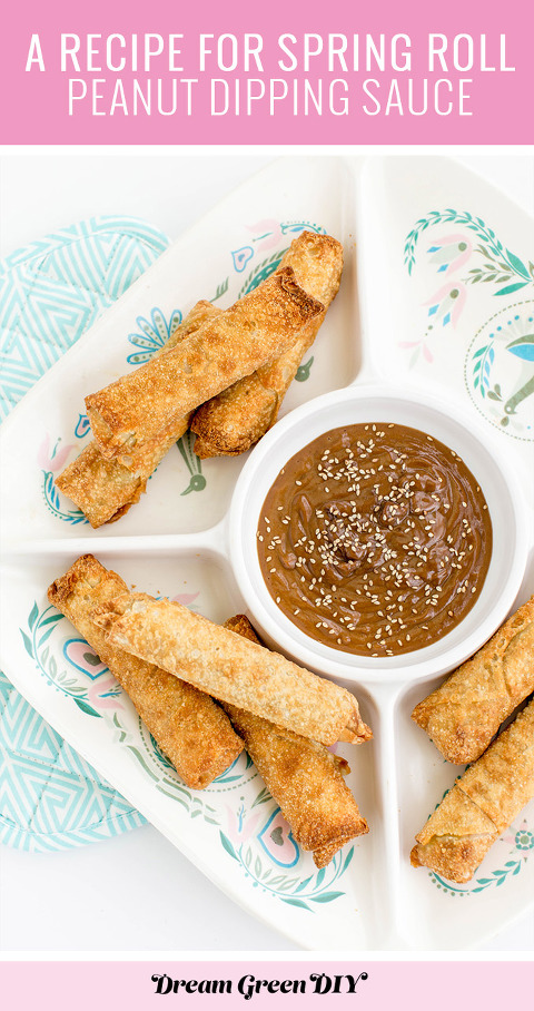 A Recipe For Spring Roll Peanut Dipping Sauce | dreamgreendiy.com