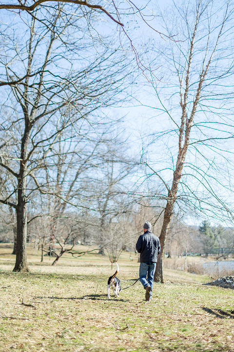 A Mid-Week Walk Through The Serenity Garden | dreamgreendiy.com