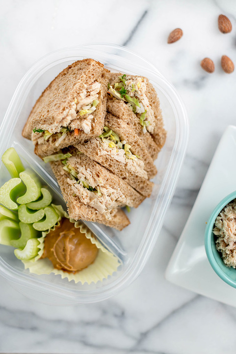 Spicy Tuna Salad Sandwich Bento Box Lunch Recipe | dreamgreendiy.com