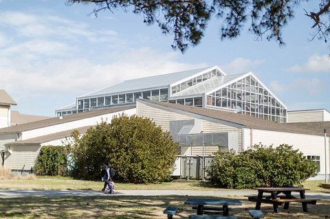 Visiting The North Carolina Aquarium On Roanoke Island