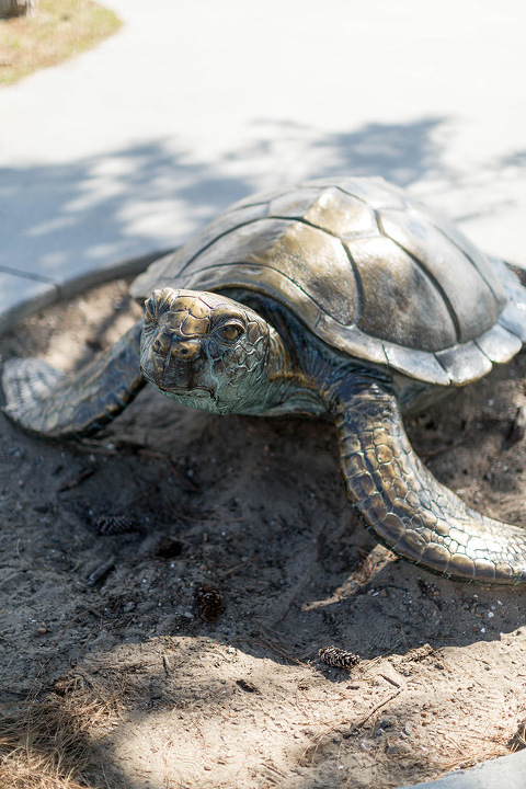 Visiting The North Carolina Aquarium On Roanoke Island