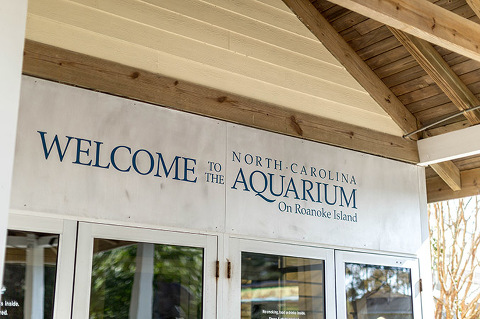 Visiting The North Carolina Aquarium On Roanoke Island