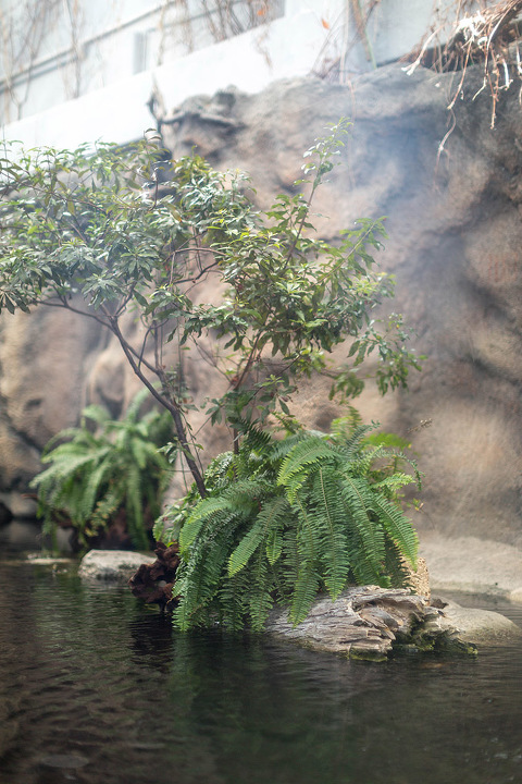 Visiting The North Carolina Aquarium On Roanoke Island