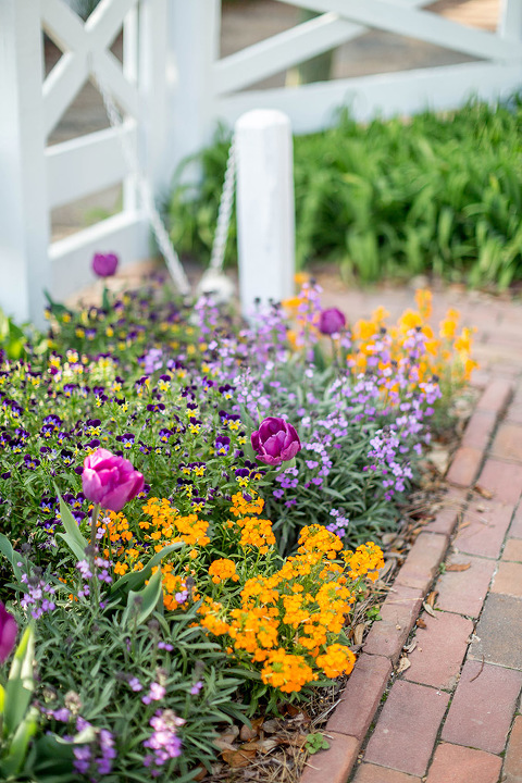 Springtime In Colonial Williamsburg | Dream Green DIY