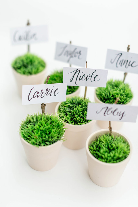 How To Style A Green Pantone-Inspired Luncheon | dreamgreendiy.com + @orientaltrading
