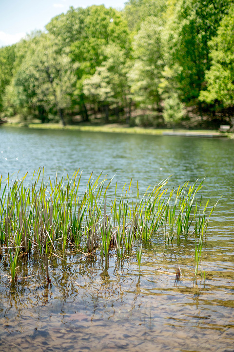 A Spontaneous Day Trip To Sherando Lake