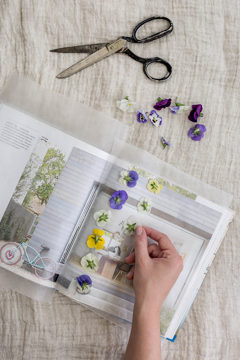 DIY Pressed Flower Wine Bottle Label (With Free Printables!)