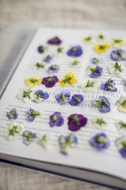 DIY Pressed Flowers Art Print