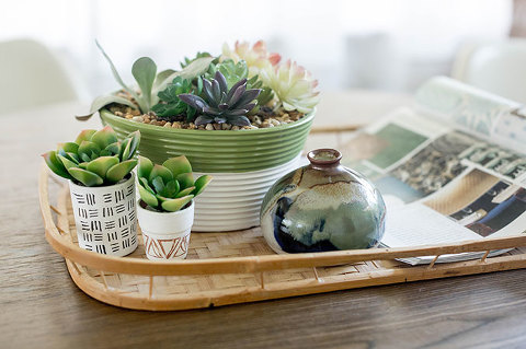 DIY Hand-Etched Mini Succulent Pots | dreamgreendiy.com + @orientaltrading