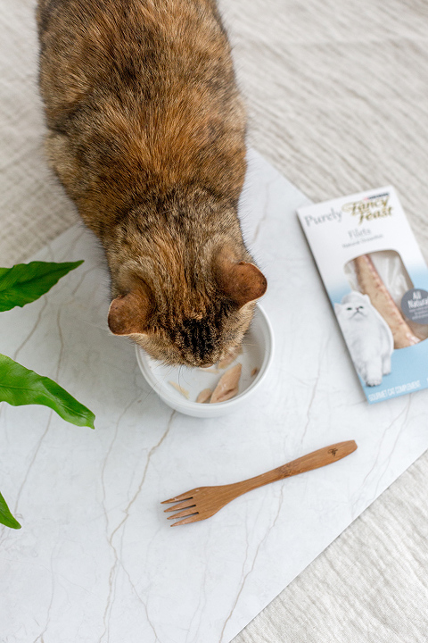 DIY Faux Marble Cat Food Bowl Mat | dreamgreendiy.com #FancyFeast #Ad #MyFancyCat